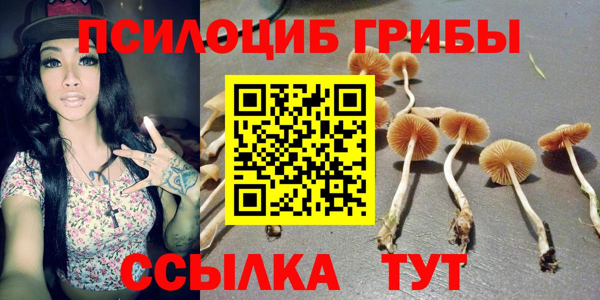 Псилоцибиновые грибы GOLDEN TEACHER Куйбышев